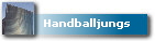 Handballjungs