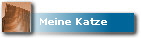 Meine Katze