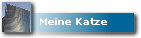 Meine Katze